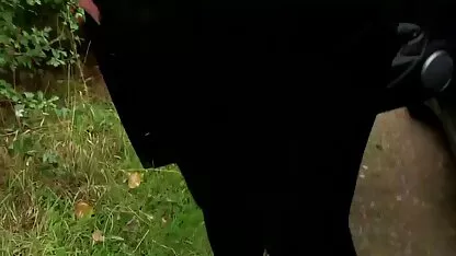 Esposa folla en follando guatemala la cocina